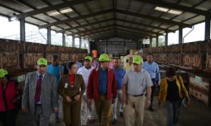 Cacaoteros expresan a Ito Bisonó necesidad de un gobierno que impulse la producción